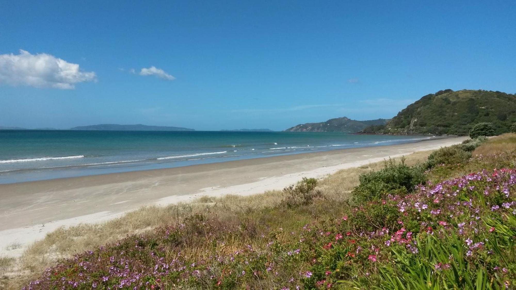 Waimaire Matarangi Bed & Breakfast Exterior photo